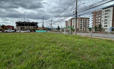Terreno comercial en venta 5000m2 Luis Durand