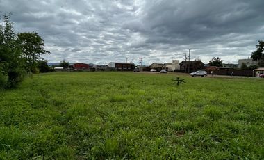 Terreno comercial en venta 5000m2 Luis Durand