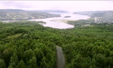 Parcelas a 2,5 km. del Lago Natri, Chonchi, Isla de Chiloe