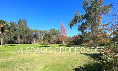 CAMINO CARAMPANGUE - COLEGIO TREBULCO