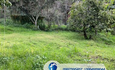 Vendo terreno en Gualaceo sector Virgen Pamba