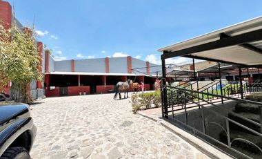 Cortijo en Venta – Ideal para Criadero y Eventos Sociales, totalmente equipado, salida Salamanca, frente a la zona de dulces