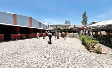 Cortijo en Venta – Ideal para Criadero y Eventos Sociales, totalmente equipado, salida Salamanca, frente a la zona de dulces