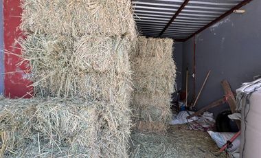 Cortijo en Venta – Ideal para Criadero y Eventos Sociales, totalmente equipado, salida Salamanca, frente a la zona de dulces