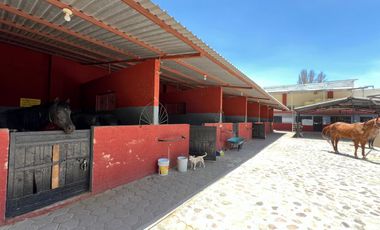 Cortijo en Venta – Ideal para Criadero y Eventos Sociales, totalmente equipado, salida Salamanca, frente a la zona de dulces