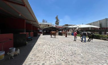 Cortijo en Venta – Ideal para Criadero y Eventos Sociales, totalmente equipado, salida Salamanca, frente a la zona de dulces