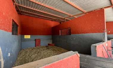 Cortijo en Venta – Ideal para Criadero y Eventos Sociales, totalmente equipado, salida Salamanca, frente a la zona de dulces