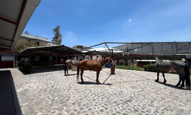 Cortijo en Venta – Ideal para Criadero y Eventos Sociales, totalmente equipado, salida Salamanca, frente a la zona de dulces