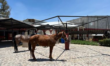 Cortijo en Venta – Ideal para Criadero y Eventos Sociales, totalmente equipado, salida Salamanca, frente a la zona de dulces