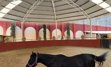 Cortijo en Venta – Ideal para Criadero y Eventos Sociales, totalmente equipado, salida Salamanca, frente a la zona de dulces