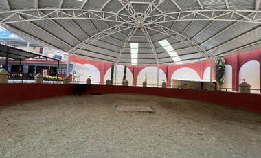 Cortijo en Venta – Ideal para Criadero y Eventos Sociales, totalmente equipado, salida Salamanca, frente a la zona de dulces