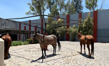 Cortijo en Venta – Ideal para Criadero y Eventos Sociales, totalmente equipado, salida Salamanca, frente a la zona de dulces