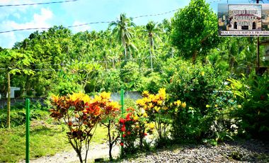Newly Built House in Sogod Southern Leyte