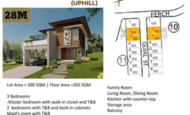 RFO: Cascade View - Uphill House and Lot at The Perch, Antipolo City