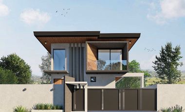 Brand New Modern House for Sale in BF Homes.