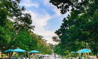 Overlooking Seaview 1 Bedroom Corner Condo w/ Balcony Fully-Furnished  in Tower D 10th floor Tambuli Seaside Living FOR SALE