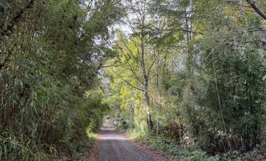 Casa con16 Hectáreas a 15 minutos de Villarrica - Chucauco.