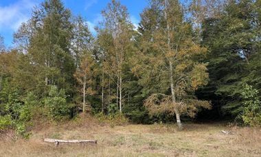 Casa con16 Hectáreas a 15 minutos de Villarrica - Chucauco.