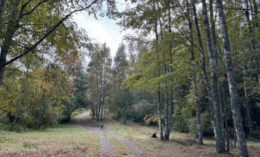 Casa con16 Hectáreas a 15 minutos de Villarrica - Chucauco.