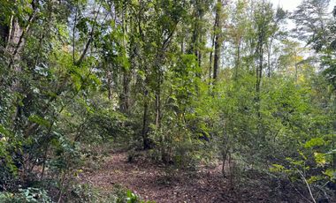 Casa con16 Hectáreas a 15 minutos de Villarrica - Chucauco.