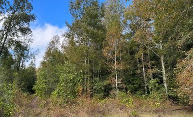 Casa con16 Hectáreas a 15 minutos de Villarrica - Chucauco.