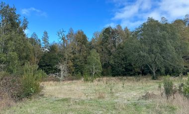Casa con16 Hectáreas a 15 minutos de Villarrica - Chucauco.