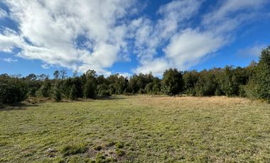 Casa con16 Hectáreas a 15 minutos de Villarrica - Chucauco.