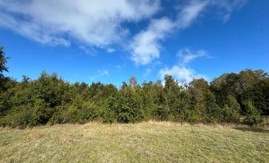 Casa con16 Hectáreas a 15 minutos de Villarrica - Chucauco.