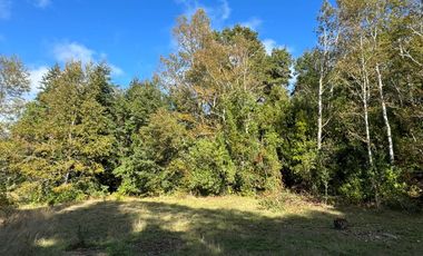 Casa con16 Hectáreas a 15 minutos de Villarrica - Chucauco.