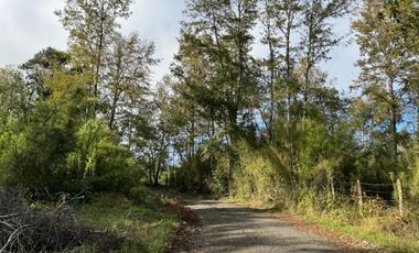 Campo 16 Hectáreas a 15 minutos de Villarrica - Chucauco.