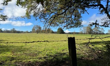 Campo 16 Hectáreas a 15 minutos de Villarrica - Chucauco.