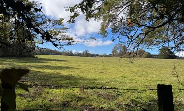 Campo 16 Hectáreas a 15 minutos de Villarrica - Chucauco.