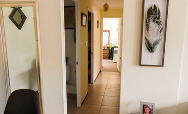 Departamento Santa Amalia, La Florida / Estacionamiento /3D 2B