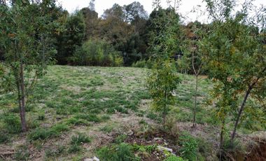 Se vende terreno en sector Torobayo, Valdivia