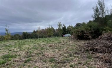 Se vende terreno en sector Torobayo, Valdivia