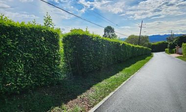LOTE EN VENTA EN CERRITOS RISARALDA