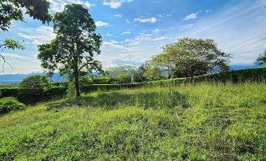 LOTE EN VENTA EN CERRITOS RISARALDA