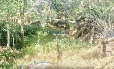 Venta Terreno LOMAS DEL RIO Nicoláss Romero