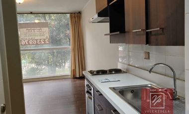 ACOGEDOR DEPARTAMENTO ESTUDIO EN PLENO BARRIO UNIVERSITARIO