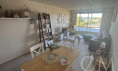 Depto En Condominio Mirador Rio Valdivia, Calle Gral Lagos