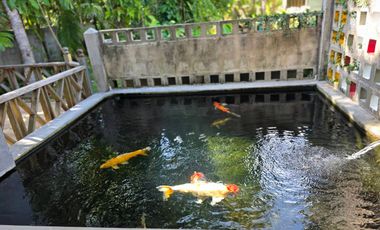 House for Sale: 2 Riverside Homes on 300 Sq. Wah, Great for Café or Vacation Home – Rayong