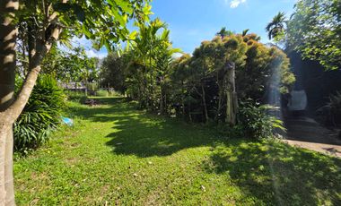 House for Sale: 2 Riverside Homes on 300 Sq. Wah, Great for Café or Vacation Home – Rayong