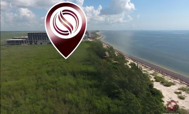 Terreno hotelero con 605 metros de playa, en venta, Puerto Morelos.