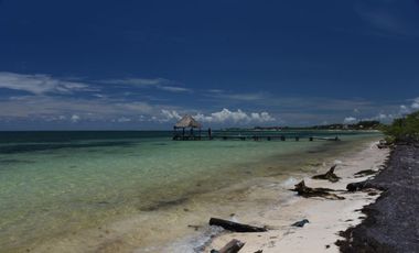 Terreno hotelero con 605 metros de playa, en venta, Puerto Morelos.