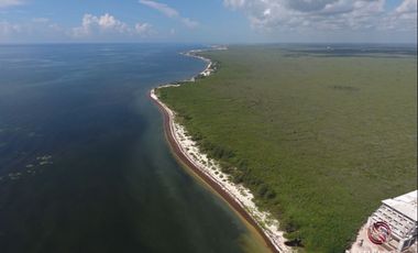Terreno hotelero con 605 metros de playa, en venta, Puerto Morelos.