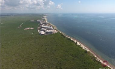 Terreno hotelero con 605 metros de playa, en venta, Puerto Morelos.