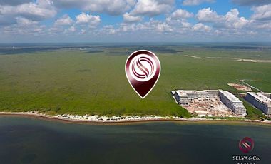 Terreno hotelero con 605 metros de playa, en venta, Puerto Morelos.