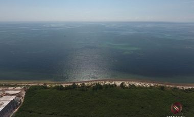 Terreno hotelero con 605 metros de playa, en venta, Puerto Morelos.