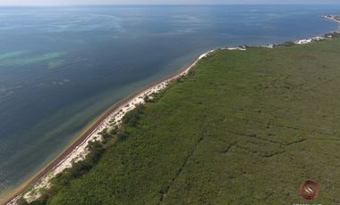 Terreno hotelero con 605 metros de playa, en venta, Puerto Morelos.