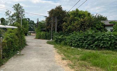 Beautiful Plot of Land for Sale Near Wat San Klang Tai Prime location near the city with scenic rice field views